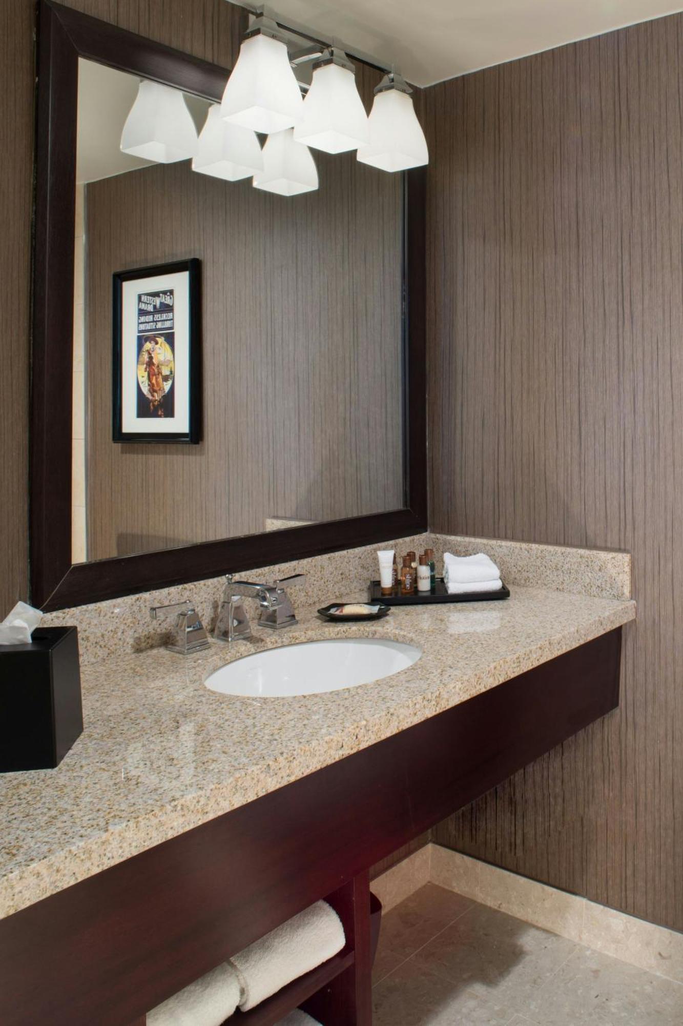 Hotel Sheraton North At George Bush Intercontinental 4*